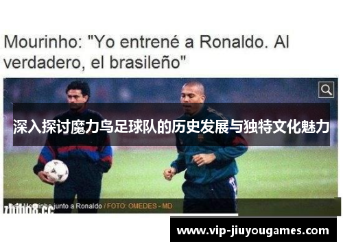 深入探讨魔力鸟足球队的历史发展与独特文化魅力